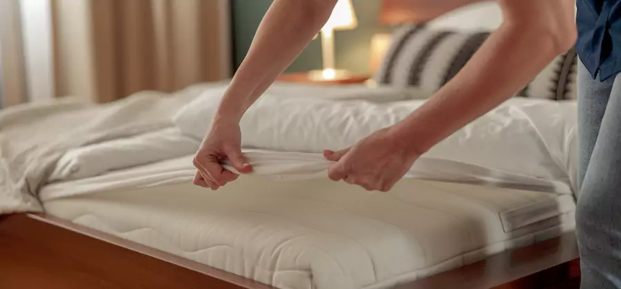 Bed Bug Extermination Services in Newberg