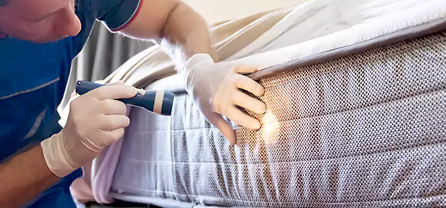 Residential Bed Bug Treatment Cost in Newberg
