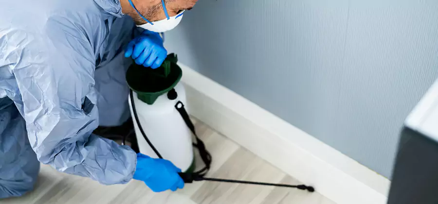 Fumigate Apartment Roaches in Newberg