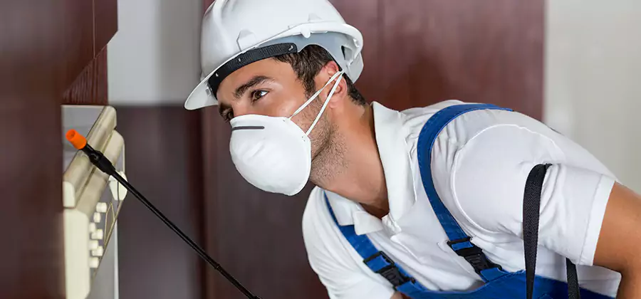 Injection Foam Treatment for Drywood Termites in Newberg