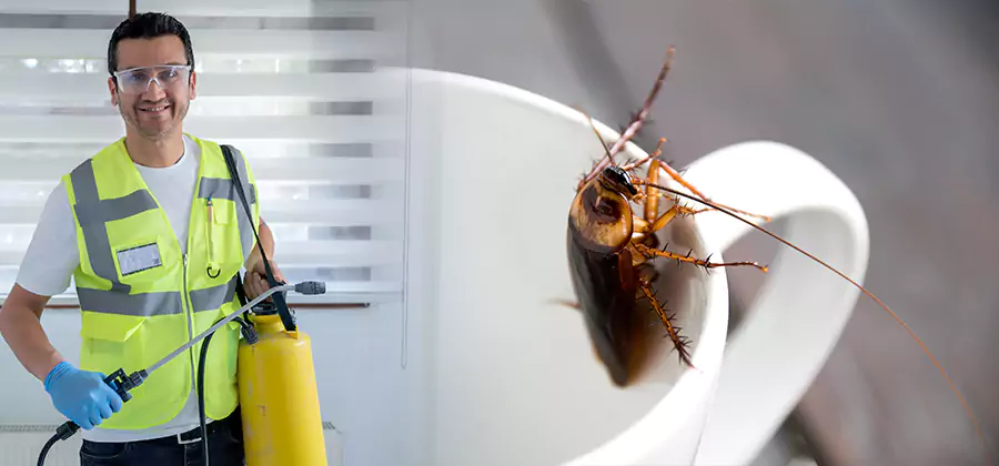 German Roach Infestation Treatment Newberg