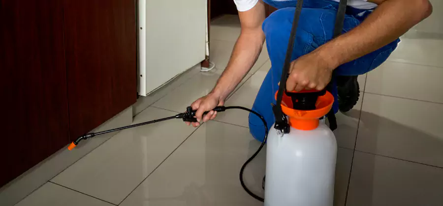 Indoor Mosquito Treatment in Newberg