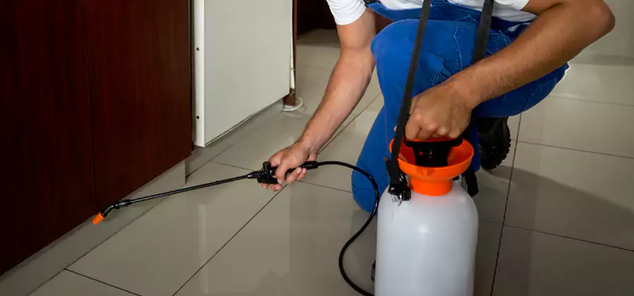 Indoor Insect Killer Solutions in Newberg