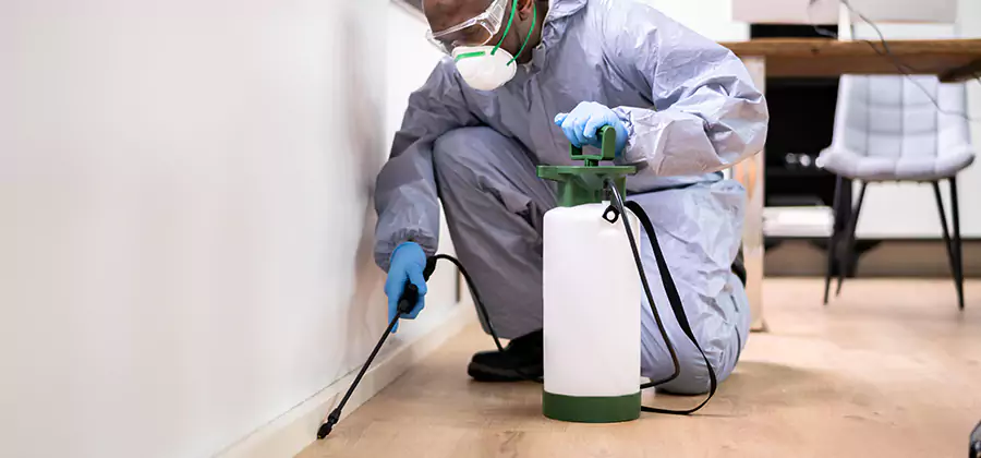 Long Lasting Mosquito Treatment in Newberg
