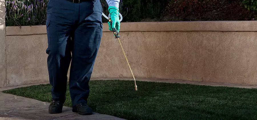 Soil Treatment for New Construction Termites in Newberg