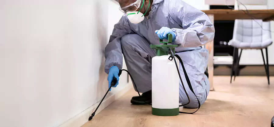 No Tent Termite Extermination With Electric Tool in Newberg