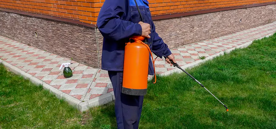 Non Toxic Termite Treatment in Newberg