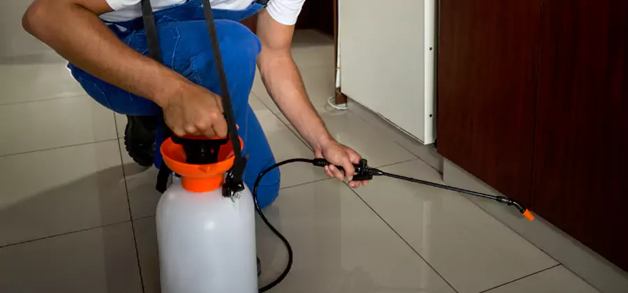One Time Termite Control in Newberg