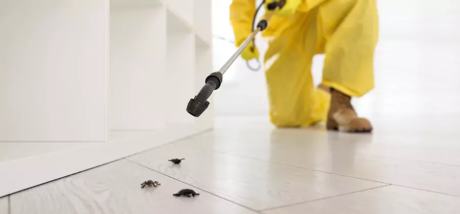 Roach and Bed Bug Exterminator in Newberg