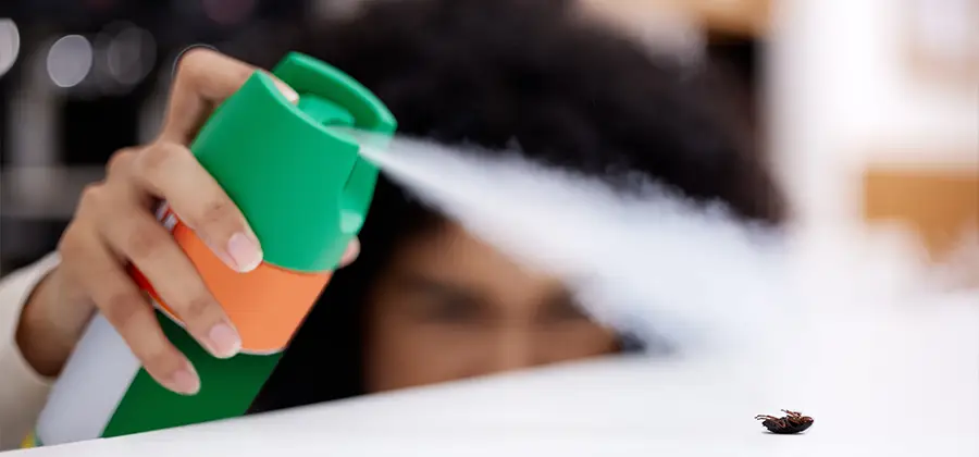 Child Safe Bed Bug Treatment in Newberg