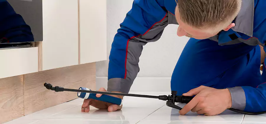 Moisture Treatment For Termite Control Service in Newberg
