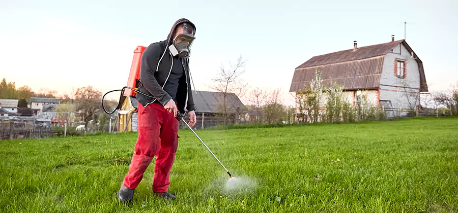 Flea and Tick Pest Control in Newberg