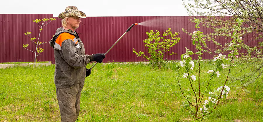 Flea and Tick Spray for Yard in Newberg
