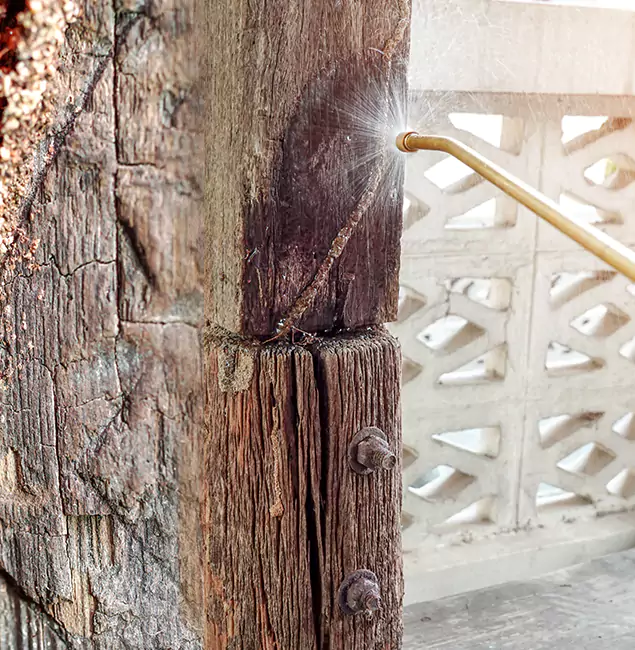 Why Choose Newberg Pest Control Pro for Attic Termite Treatment in Newberg, OR?