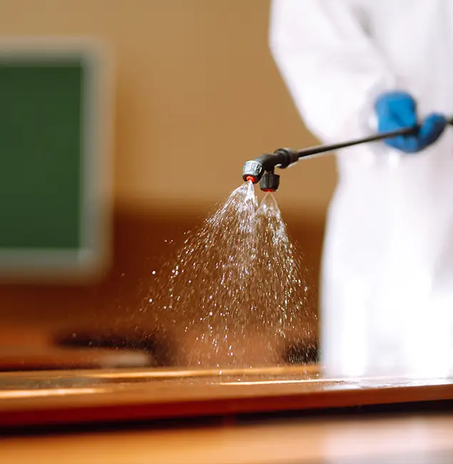 Why Choose Newberg Pest Control Pro for Bed Bug Chemical Treatment in Newberg, OR?