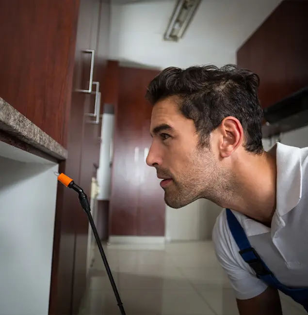 Why Choose Newberg Pest Control Pro for Bed Bug Removal Cost in Newberg, OR?