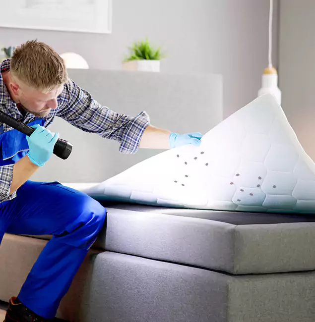 Why Choose Newberg Pest Control Pro in Newberg, OR?