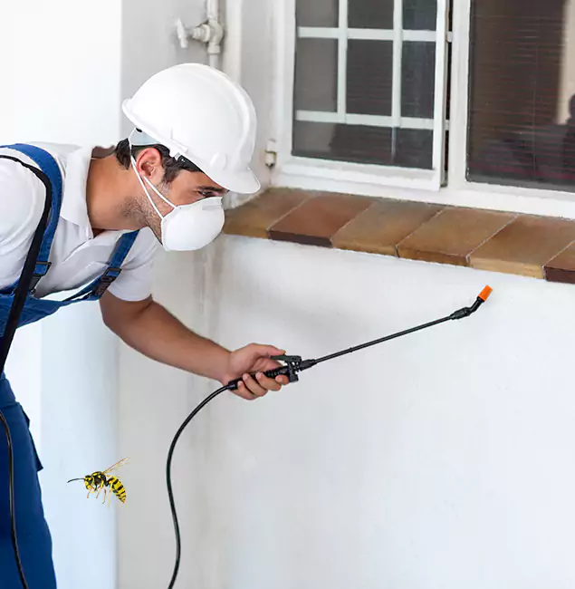 Why Newberg Property Owners Choose Newberg Pest Control Pro for Bee Nest Removal?
