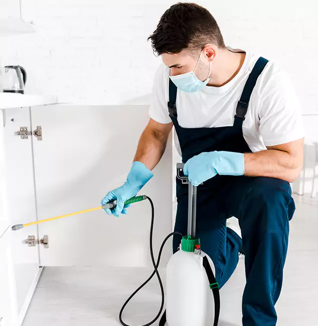 Why Choose Newberg Pest Control Pro for Emergency Pest Control in Newberg?