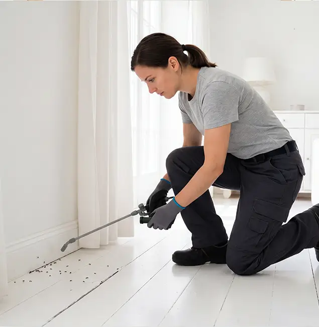 Why Newberg, OR Property Owners Trust Newberg Pest Control Pro for Fire Ant Control?