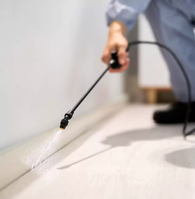 Why Choose Newberg Pest Control Pro for Termite Treatment in Newberg, OR?