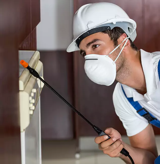 Why Newberg Homeowners Rely on Newberg Pest Control Pro for Tick Treatment?