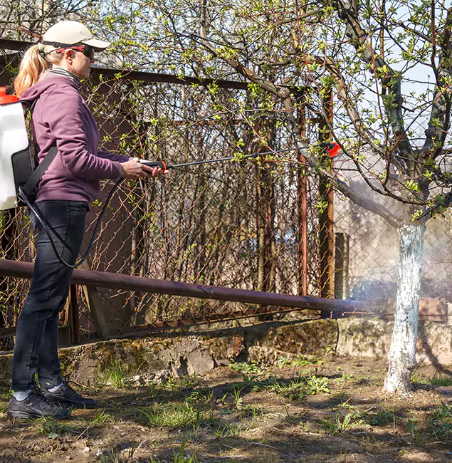 Why Newberg Homeowners Choose Newberg Pest Control Pro for Mosquito Abatement?