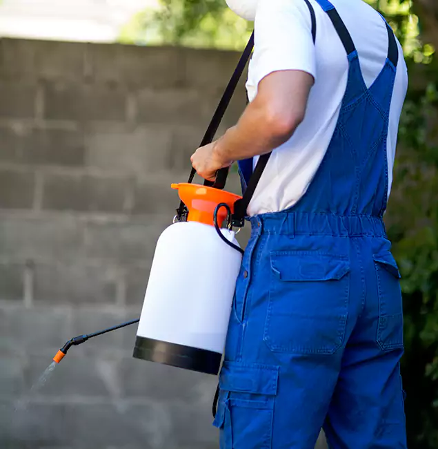 Why Newberg Homeowners Rely on Newberg Pest Control Pro for Mosquito Control?