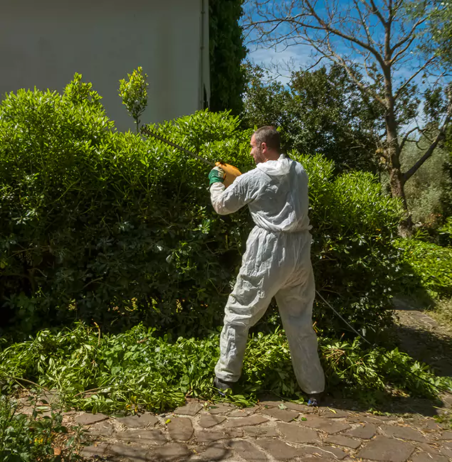 Why Newberg Pest Control Pro Leads Mosquito Control in Newberg, OR?