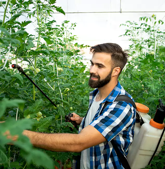 Why Newberg Homeowners Choose Newberg Pest Control Pro for Mosquito Spraying?