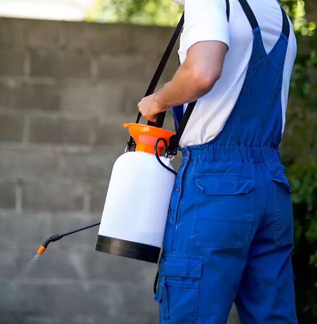 Why Newberg Pest Control Pro Delivers the Best Mosquito Control in Newberg, OR?