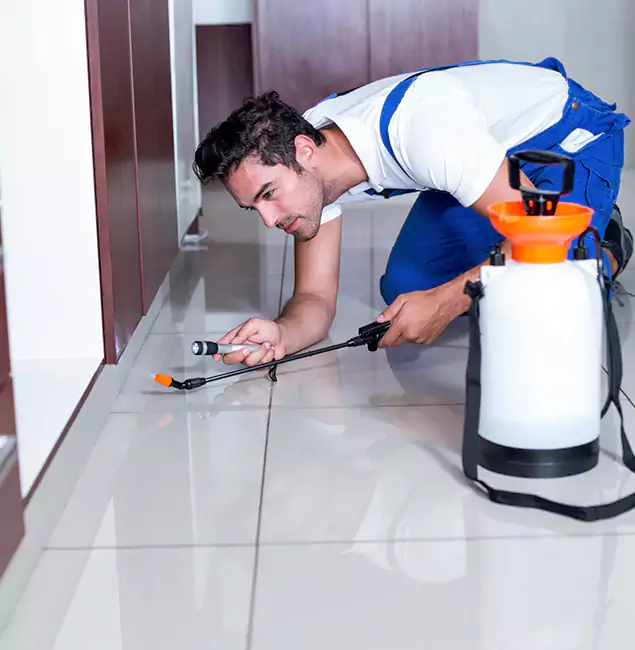 Why Newberg Pest Control Pro Is the Proven Choice in Newberg, OR?