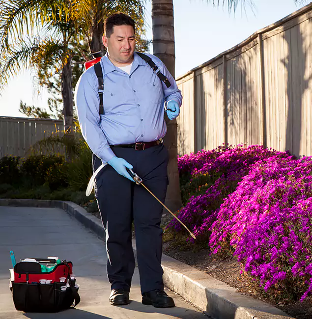Why Choose Newberg Pest Control Pro in Newberg, OR?