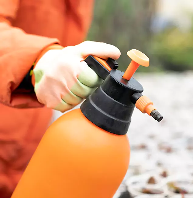 Why Choose Newberg Pest Control Pro for Orange Termite Treatment in Newberg, OR?