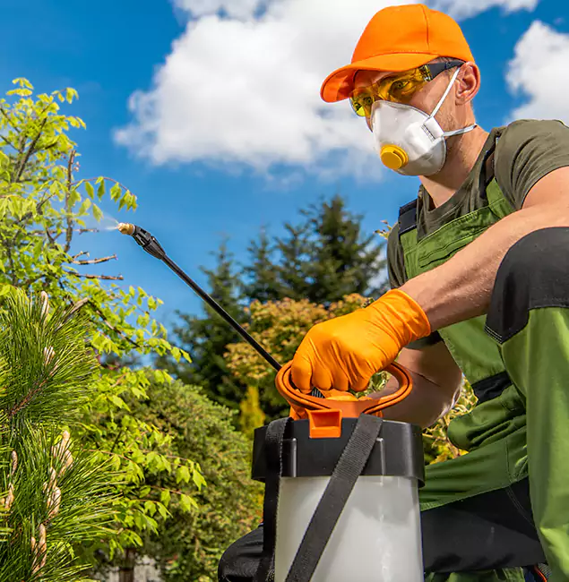 Why Choose Newberg Pest Control Pro for Outdoor Pest Control in Newberg, OR?
