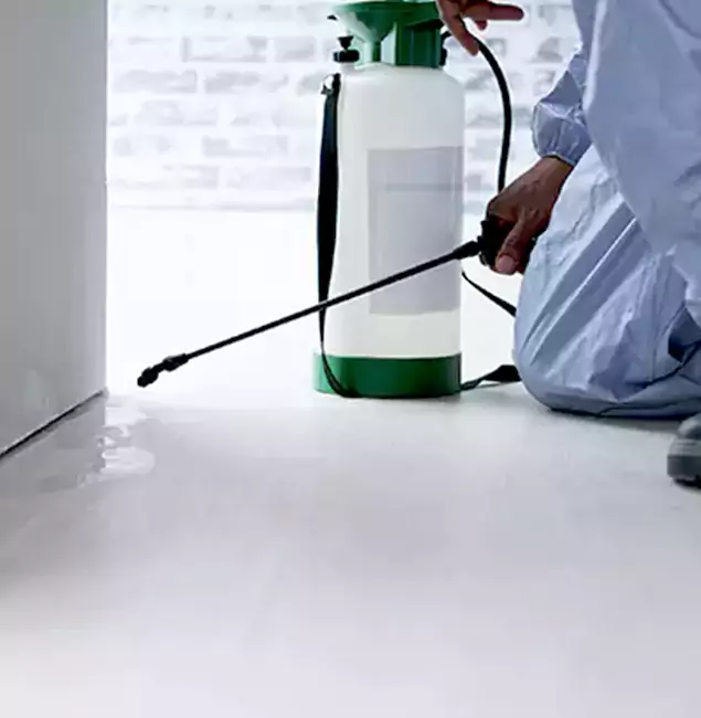 Why Choose Newberg Pest Control Pro for Rat Exterminator in Newberg, OR?