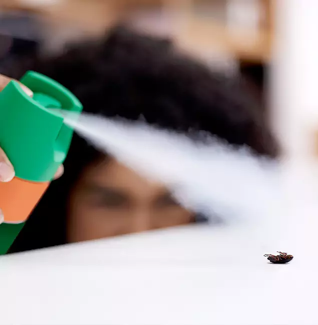 Why Newberg, OR Homeowners Choose Newberg Pest Control Pro for Roach Pest Control?