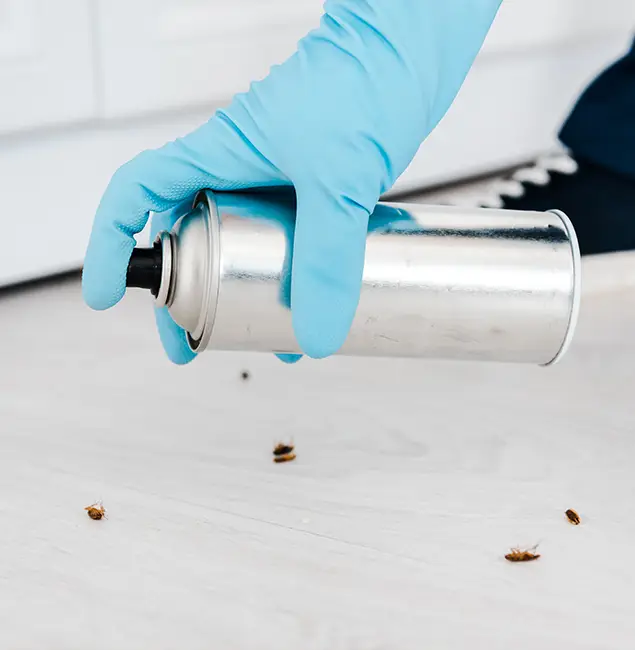 Why Choose Newberg Pest Control Pro for Safe Bed Bug Treatment in Newberg, OR?