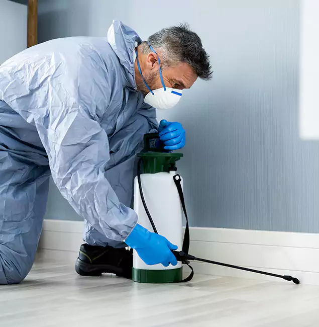 Why Choose Newberg Pest Control Pro for Subterranean Termites Treatment in Newberg, OR?