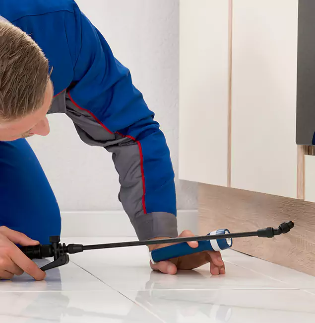 Why Newberg Residents Choose Newberg Pest Control Pro to Get Rid of Sugar Ants?