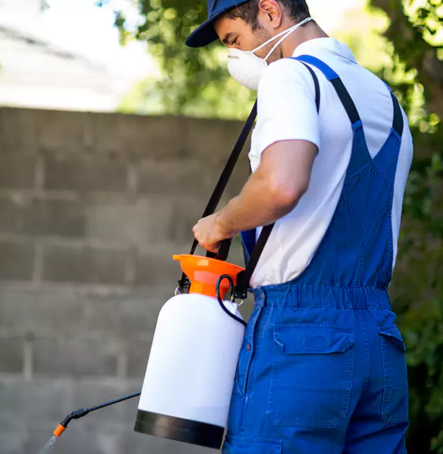 Why Choose Newberg Pest Control Pro for Termite Barrier in Newberg, OR?