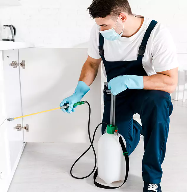 Why Choose Newberg Pest Control Pro for Termite Spot Treatment in Newberg, OR?