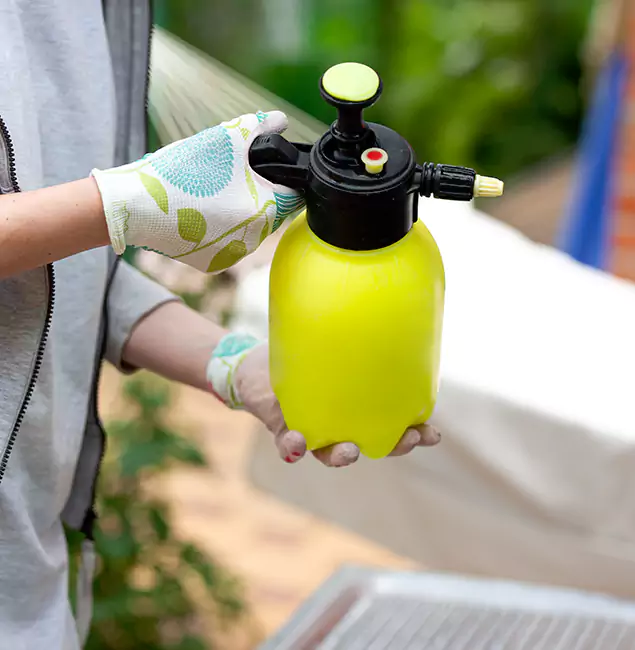 Why Choose Us: Newberg Pest Control Pro Termite Spraying Experts in Newberg, OR?