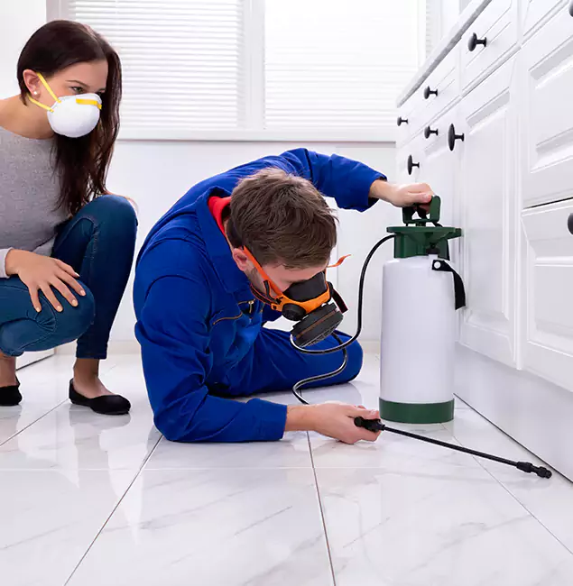 Why Choose Wood Termite Treatment by Newberg Pest Control Pro in Newberg, OR?