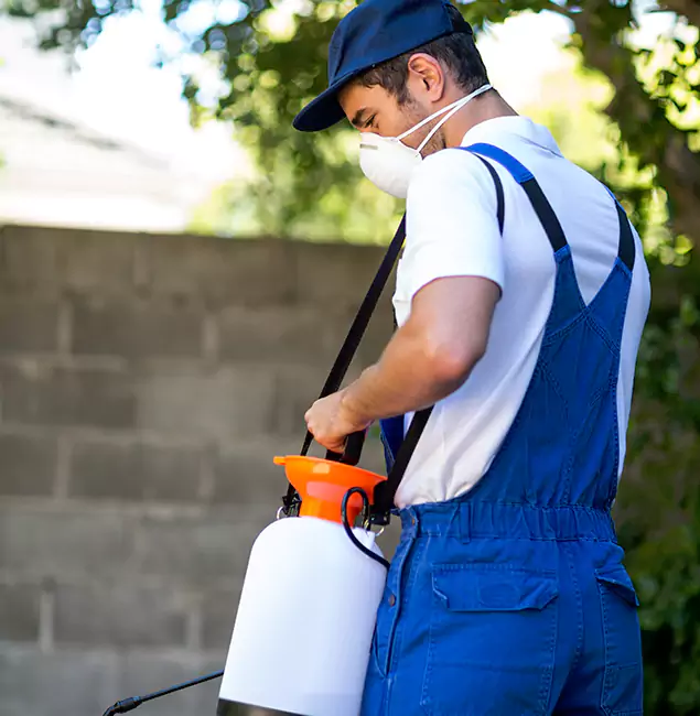 Why Newberg Pest Control Pro Is the Right Choice for Yellow Jacket Removal in Newberg, OR?