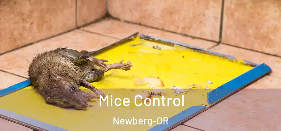 Mice Control Newberg-OR