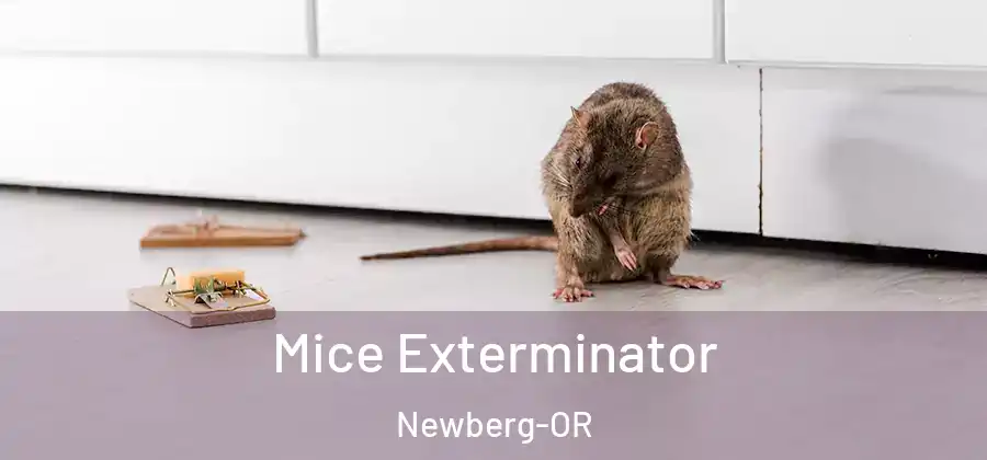 Mice Exterminator Newberg-OR