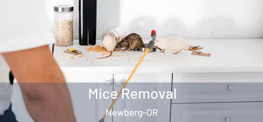 Mice Removal Newberg-OR