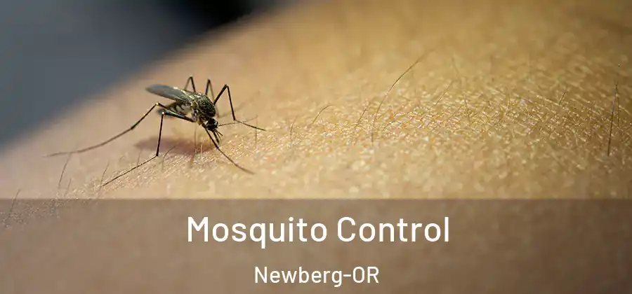 Mosquito Control Newberg-OR