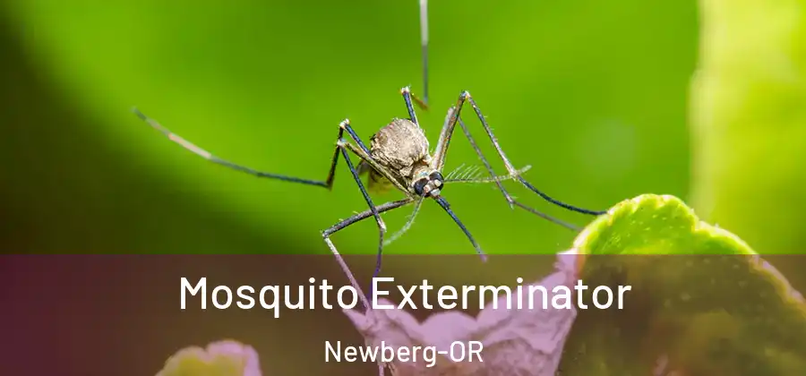 Mosquito Exterminator Newberg-OR
